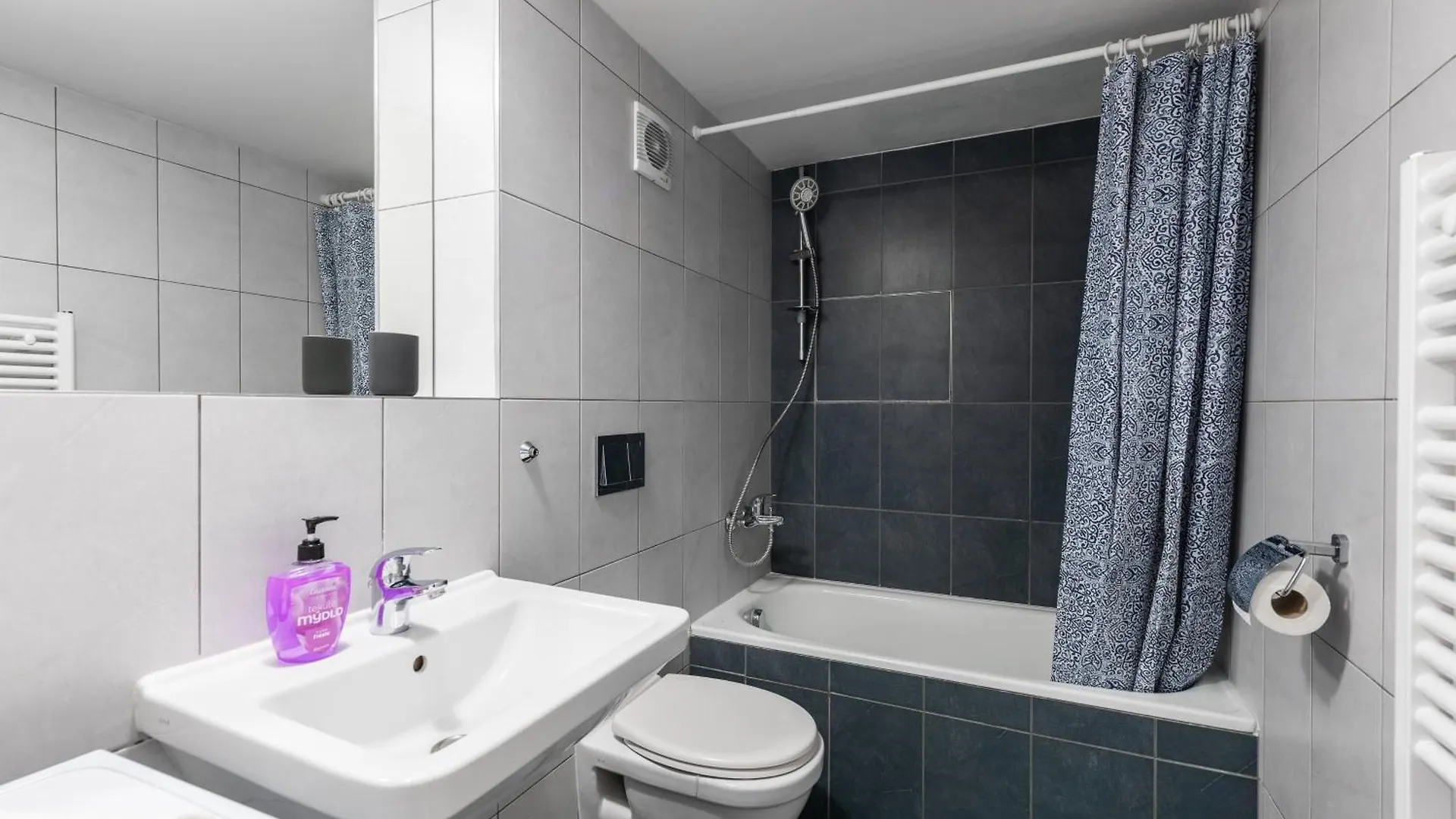 Loft Spacious Apartments In Praga