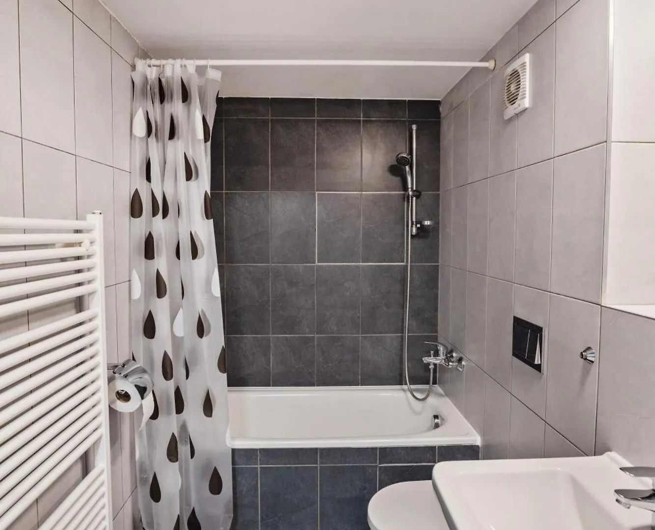 Loft Spacious Apartments In براغ